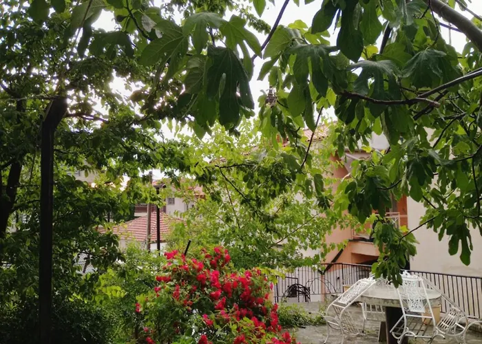 Séjour chez l'habitant Christos ιι